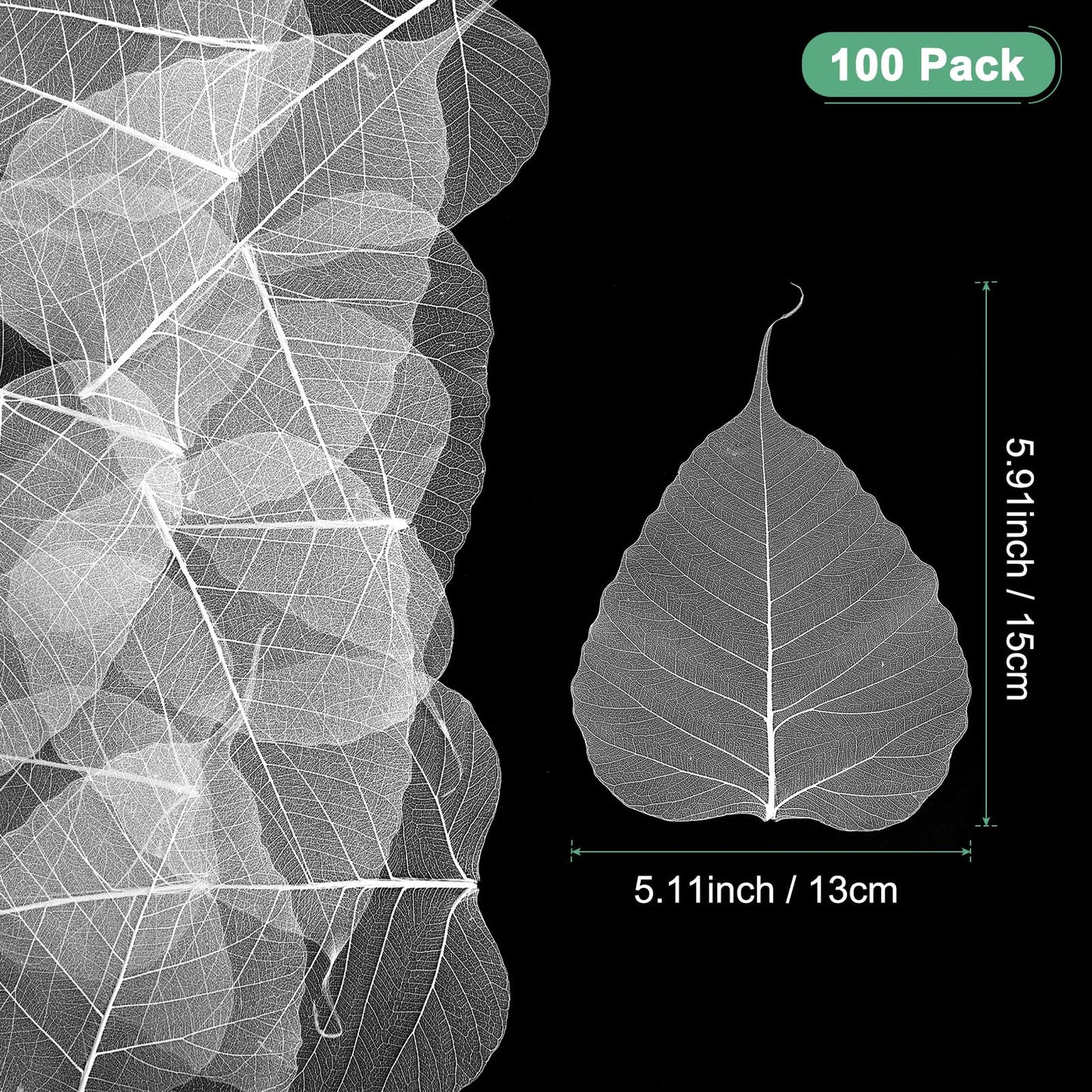 M METERXITY 100-Pack Skeleton Leaves, 5.1 Inch Natural Dried Pressed Bodhi Skeleton Leaves Vein for Resin/DIY Crafts Card/Scrapbook/Wedding, Small Leaves Decorative [Coffee] BST220