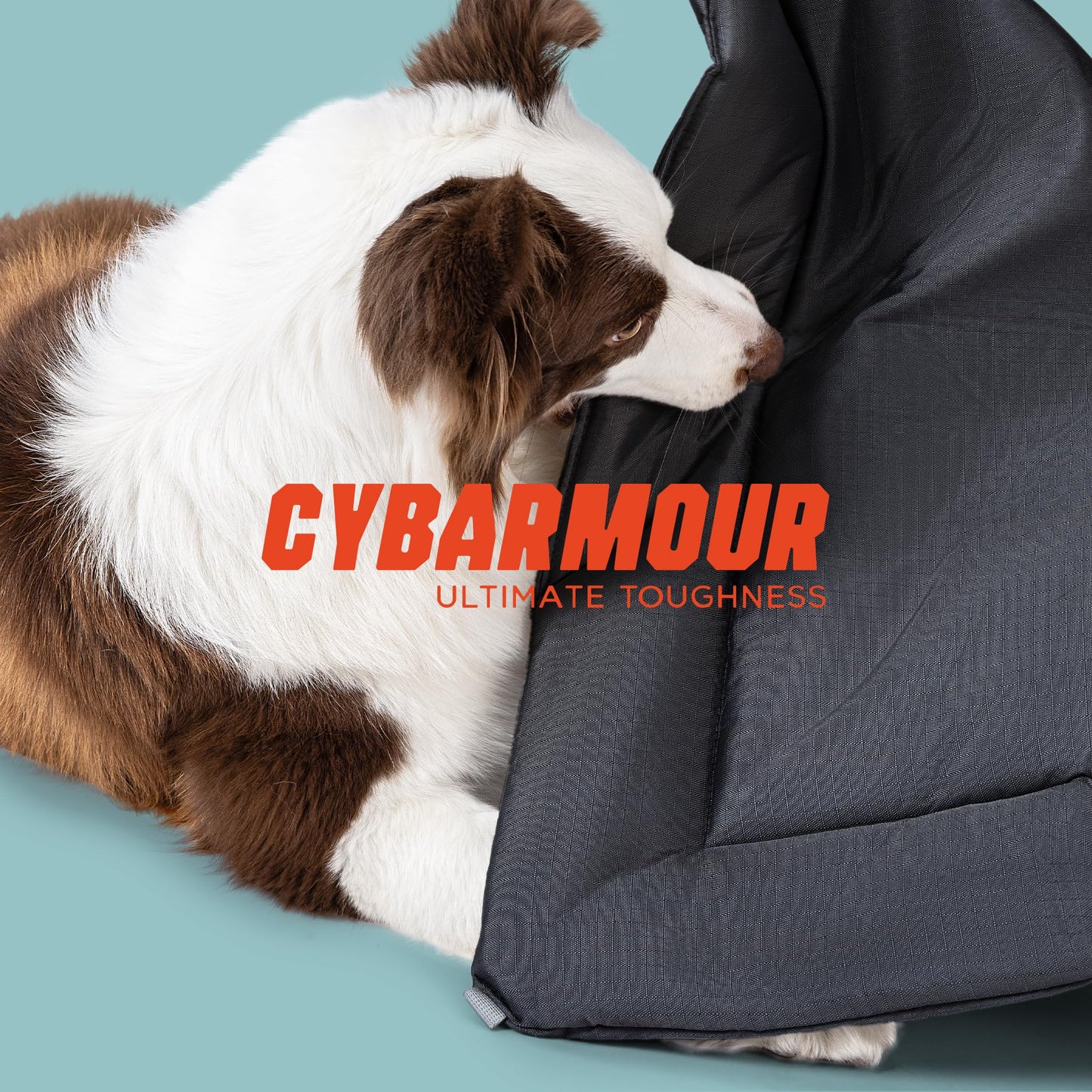 PELZIN Cybarmour Chew Proof Dog Crate Pad - Outdoor Indestructible Dog Bed - Tough - Potable - Machine Washable - Water & Dirt-Resistant - Jumbo Breeds & Fits 54-Inch Crate - 53"x35", Black WN420