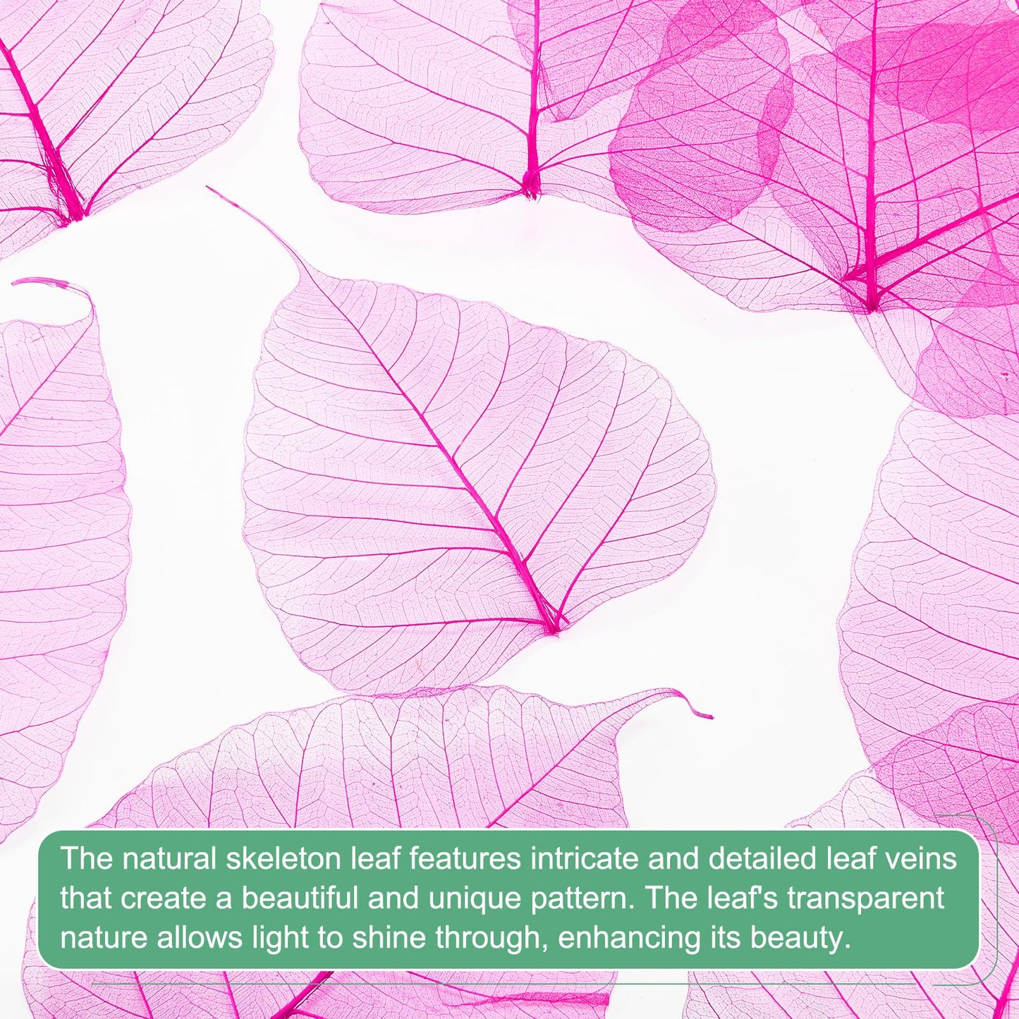 M METERXITY 100-Pack Skeleton Leaves, 5.1 Inch Natural Dried Pressed Bodhi Skeleton Leaves Vein for Resin/DIY Crafts Card/Scrapbook/Wedding, Small Leaves Decorative [Coffee] BST220