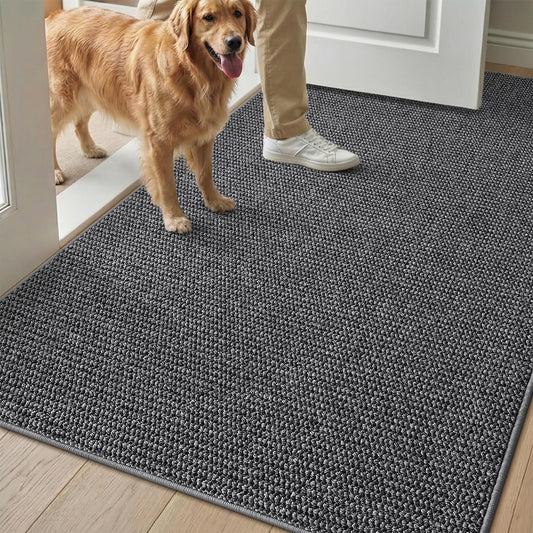 Color&Geometry Front Door Mat Non-Slip, Low-File, Easy to Clean, Sturdy Doormat, Entryway Rug for Entrance, Hallway, Porch Floor, 24"x36", Gray (Rolled-up NO Creases) BST326H