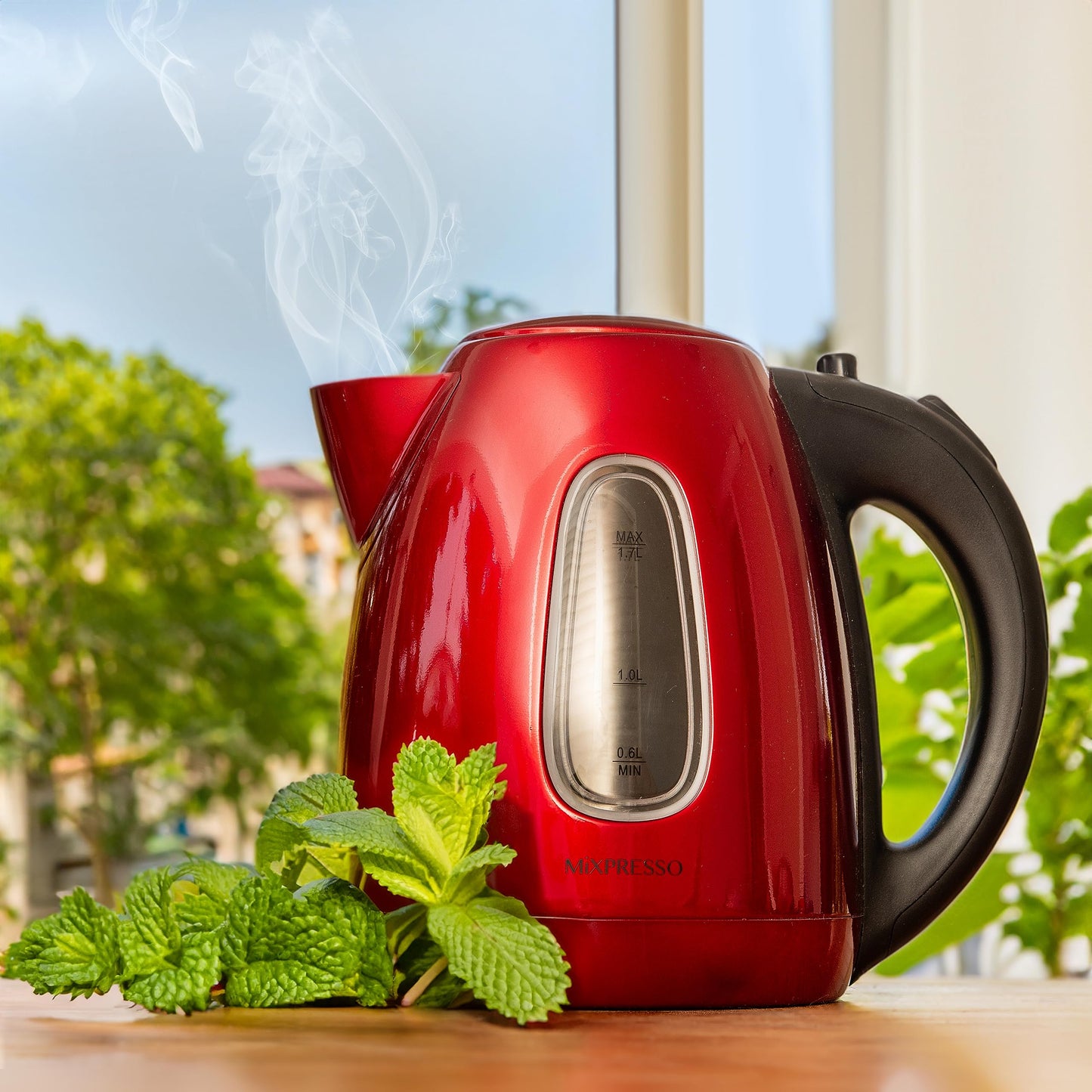 Mixpresso Electric Kettle Temperature Control, Hot Water Kettle Electric, Cordless 1 Liter Capacity, Keep Warm & LED Indicator, Auto-Shutoff, Boil-Dry Protection, Stainless Steel Electric Kettle BST220