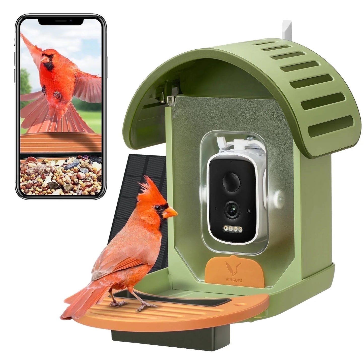 VINGUYS Bird Feeder with Camera and Smart AI Identification 81
