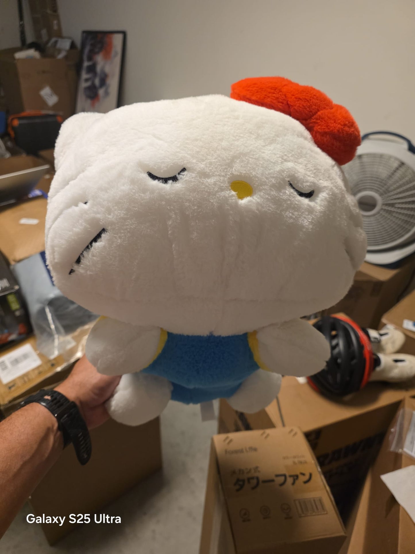 Hello Kitty Plush Toy TG1011