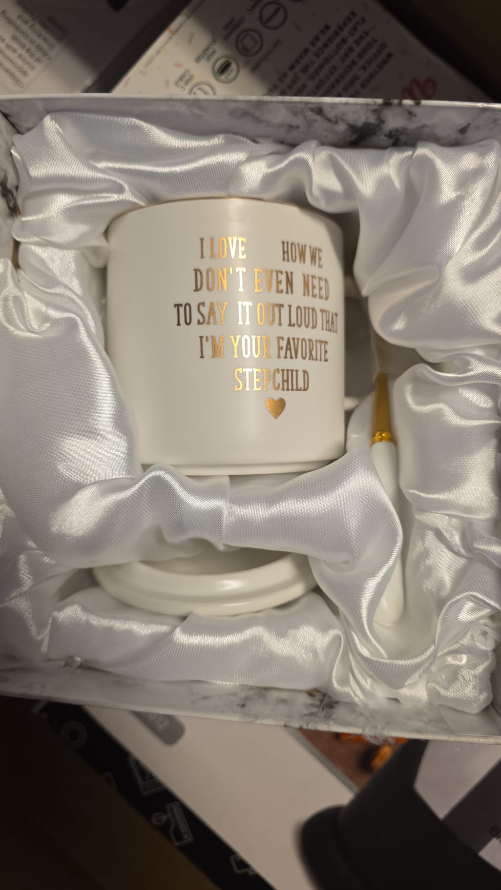 Cabtnca Step Mom Mothers Day Gifts, I’m Your Favorite Stepchild 47