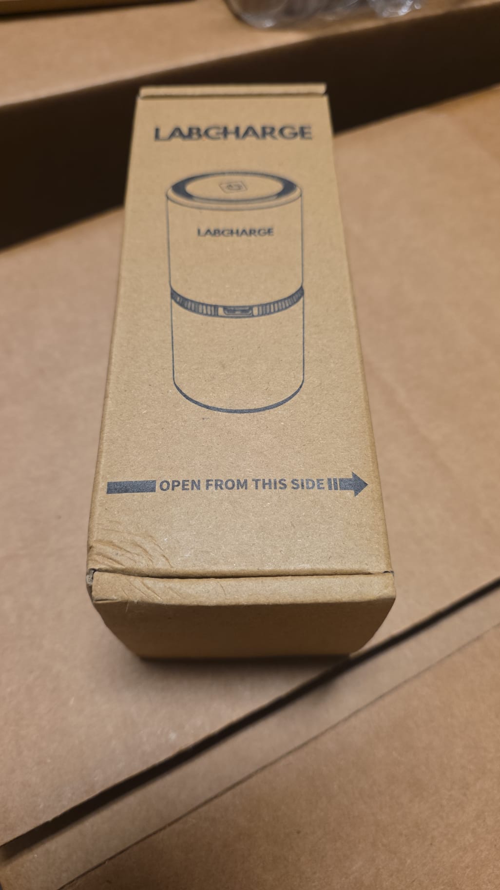Lab Charge Small Ionic Air Purifier 99