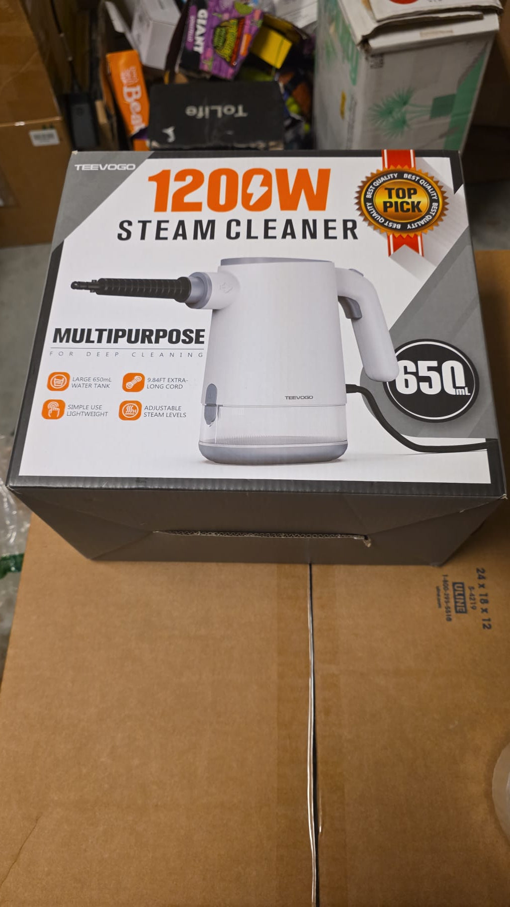 TEEVOGO 1200W Steam Cleaner 101