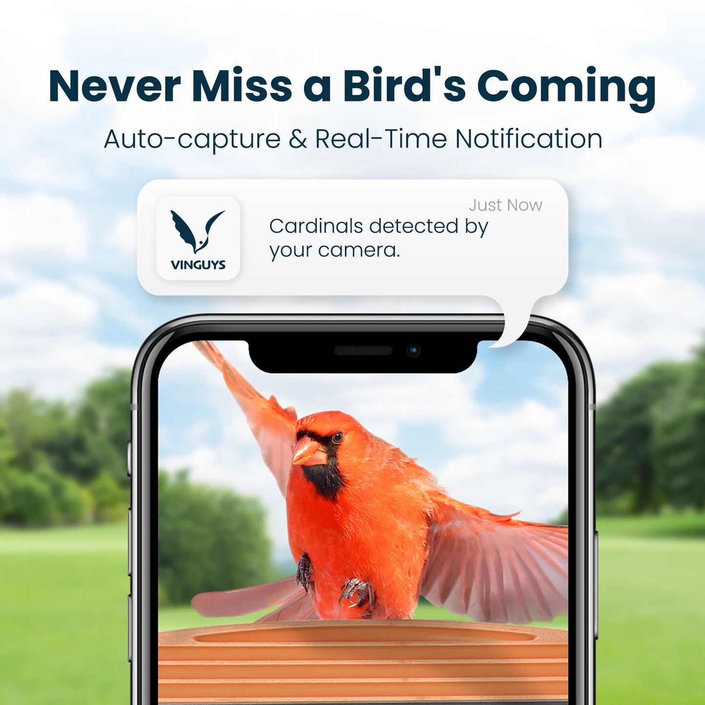 VINGUYS Bird Feeder with Camera and Smart AI Identification 81