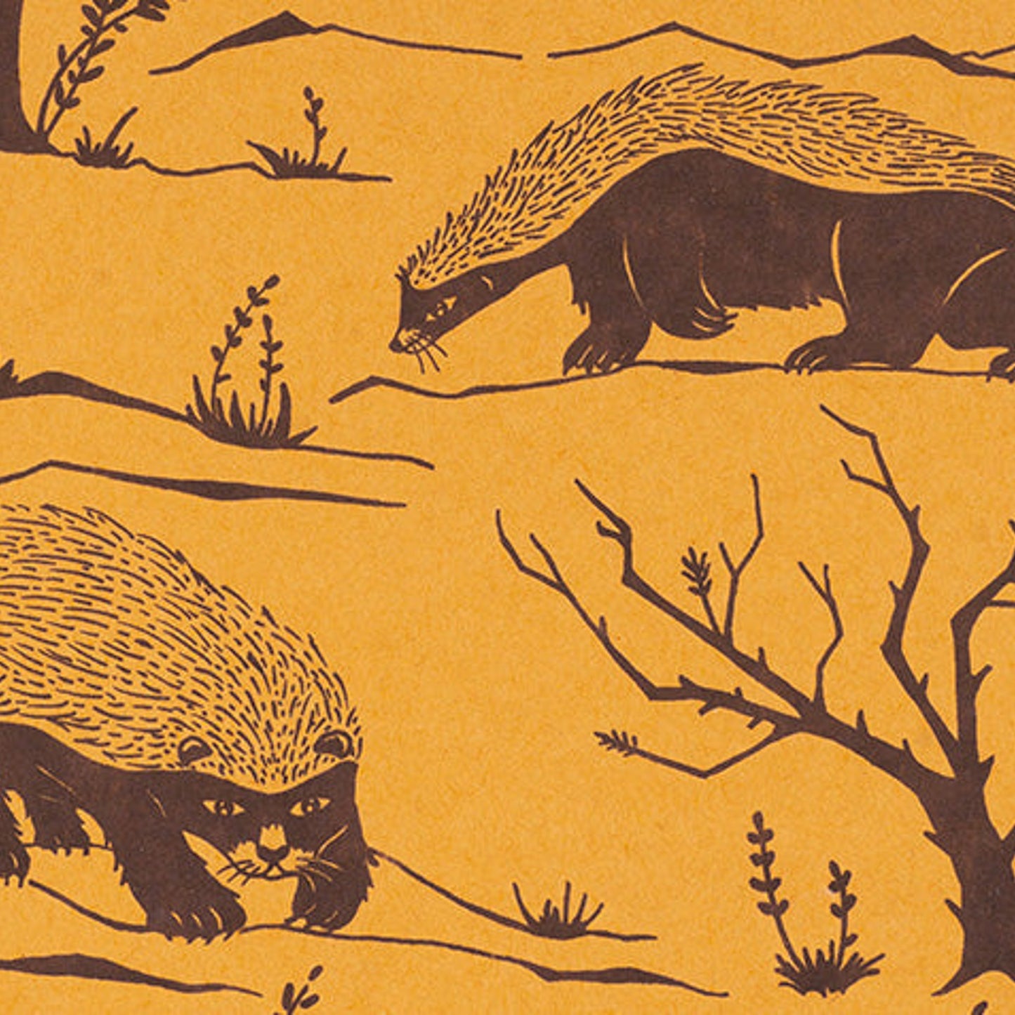Decomposition Book Honey Badgers Spiral Notebook 7.5"x9.75" 160 Pages