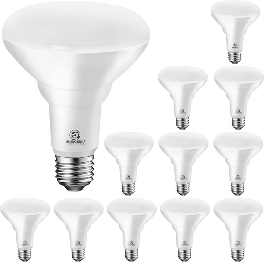 Energetic LED Recessed Light Bulbs BR30 12 pack 101